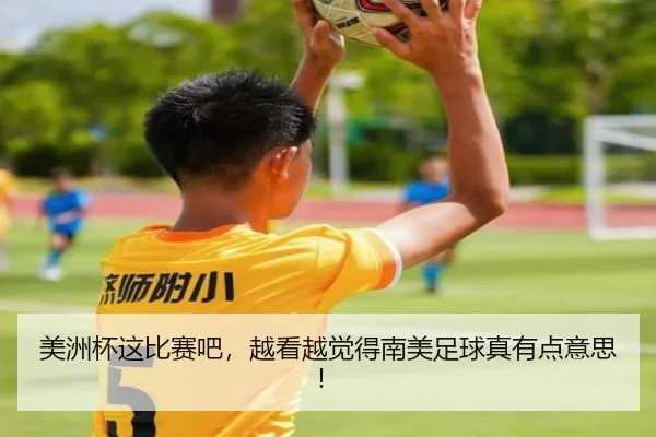 美洲杯这比赛吧，越看越觉得南美足球真有点意思！ | kaiyun